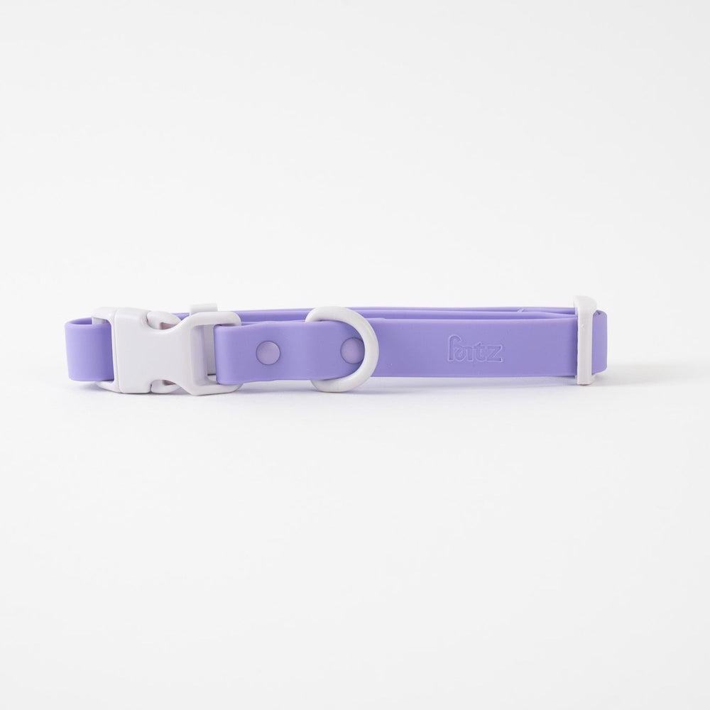 Sample Sale Fritz Collar