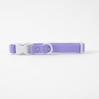 Sample Sale Fritz Collar