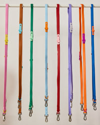The Fritz Leash
