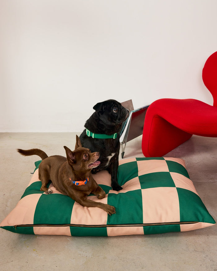 Two dogs on a checkered green and beige dog bed with a red heart-shaped object in the background.