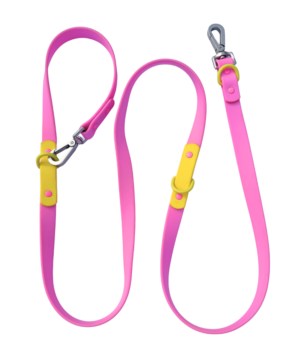 The Fritz Leash