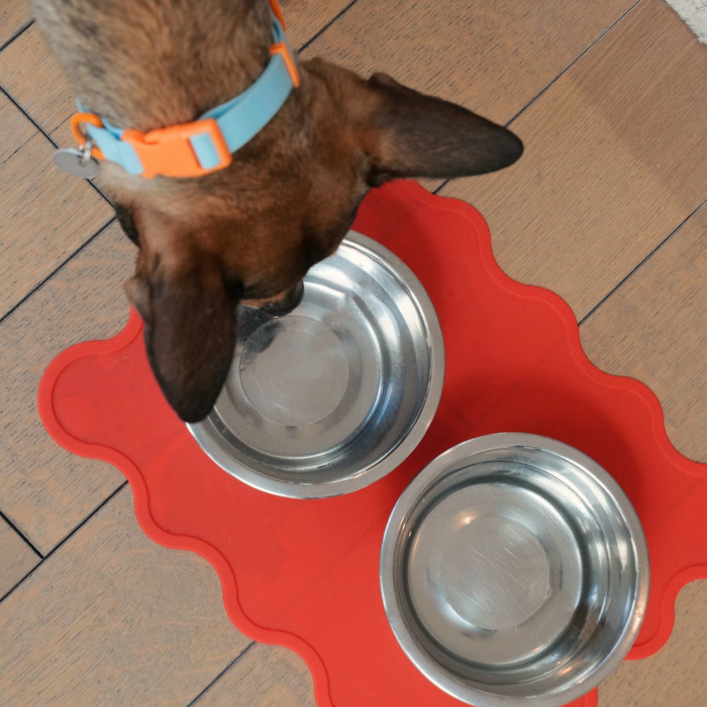 Toy & Bowl Mat Bundle