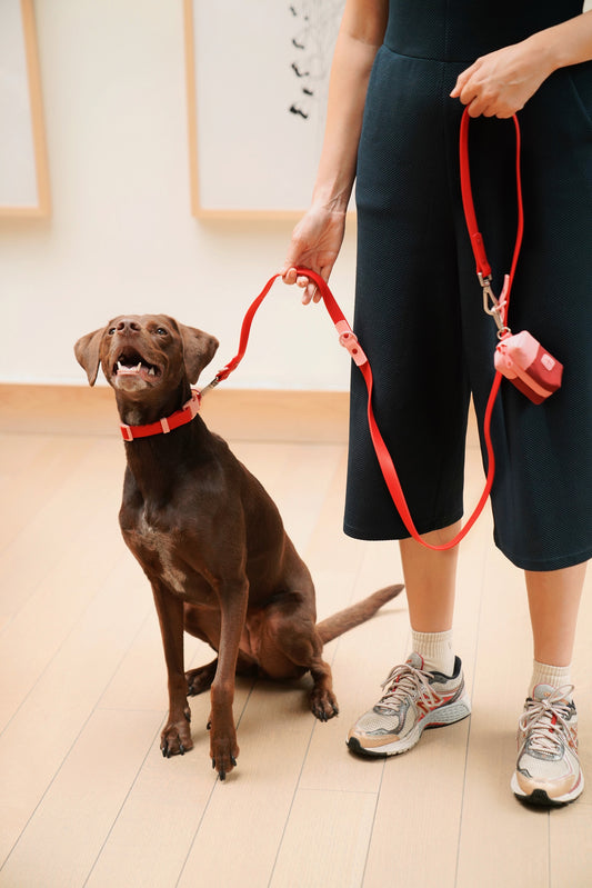 The Fritz Leash - Cherry