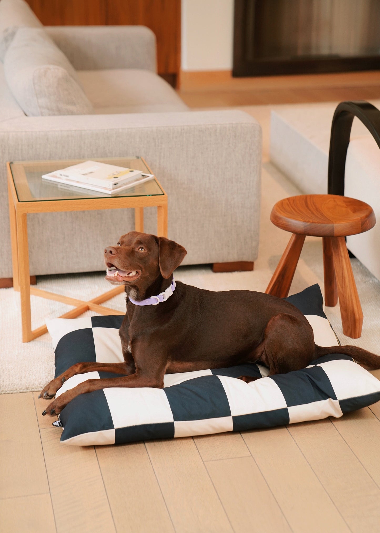 Recycled Dog Bed with modern interior