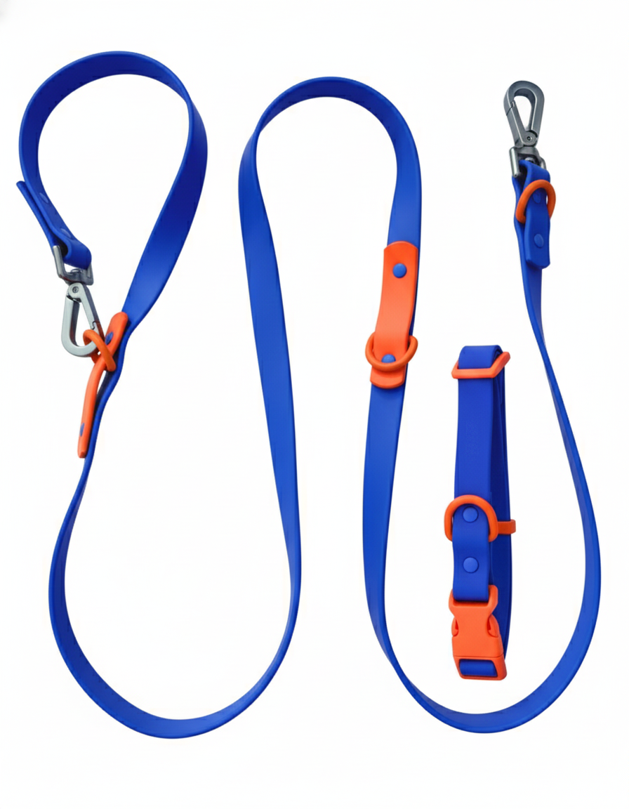 Ensemble pour promenade Fritz Walk – Laisse et collier imperméables et réglables pour chien