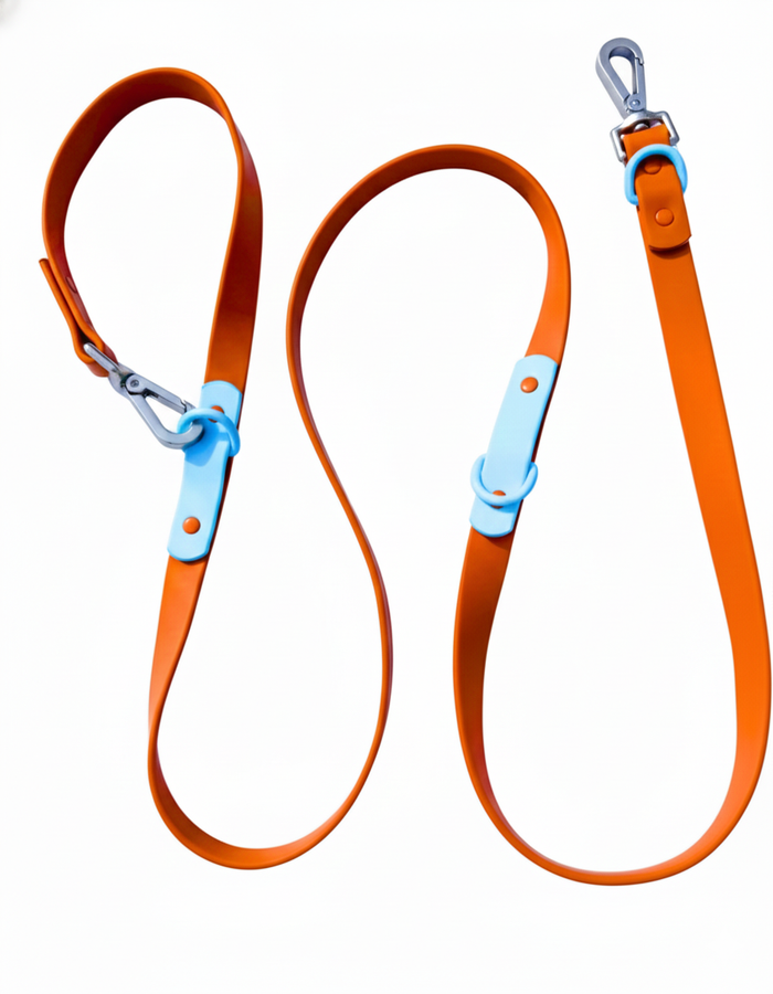 The Fritz Leash - Choco Blue