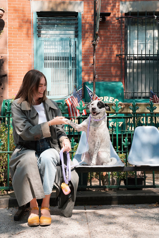 The Fritz Leash - Lilac Grey