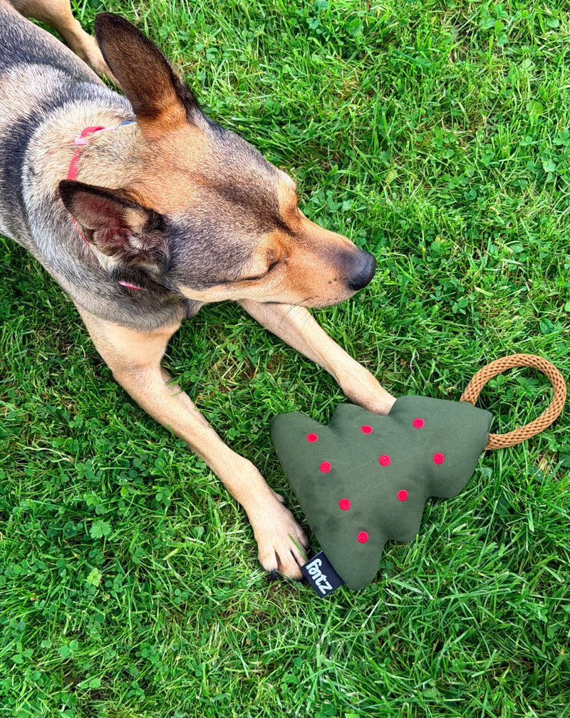 Dog with the Holiday Tree toy outdoors