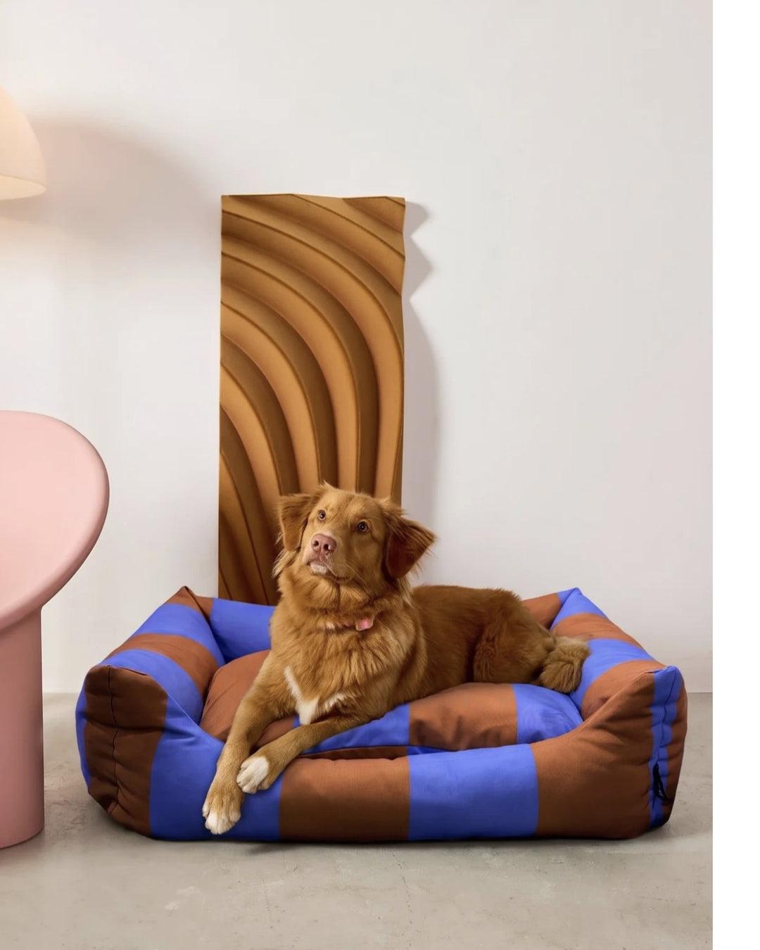 A dog in the Striped Fritz Nest Bed at home
