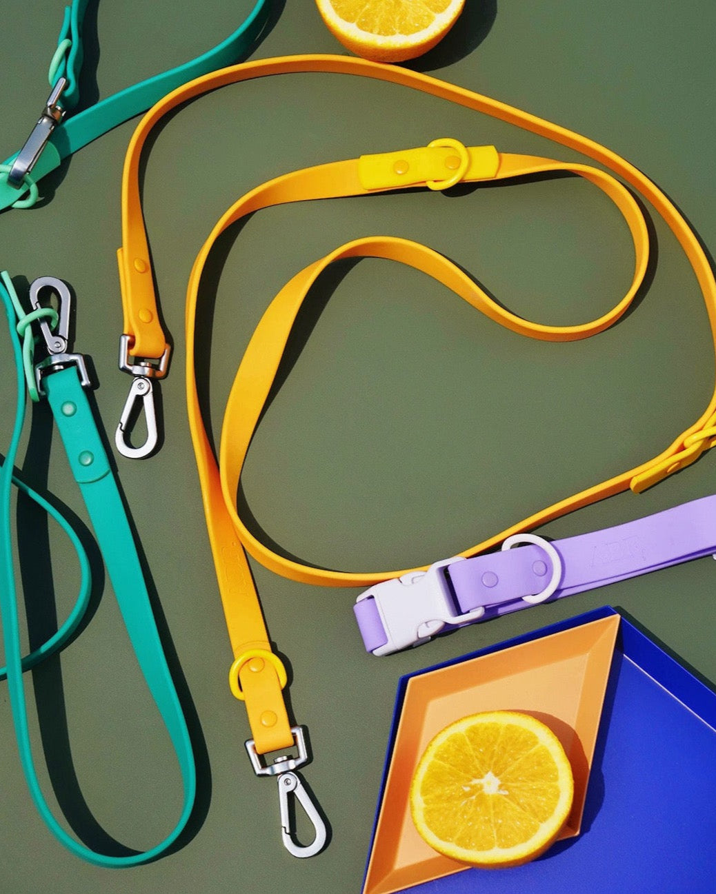 Carte-cadeau de Fritz