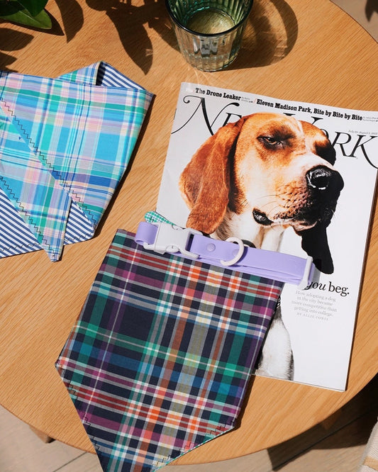 Carte-cadeau de Fritz