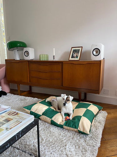 The Dog & Interiorist -  Meet Julie & her dog Ohana living in their beautiful home in Lyon, France.