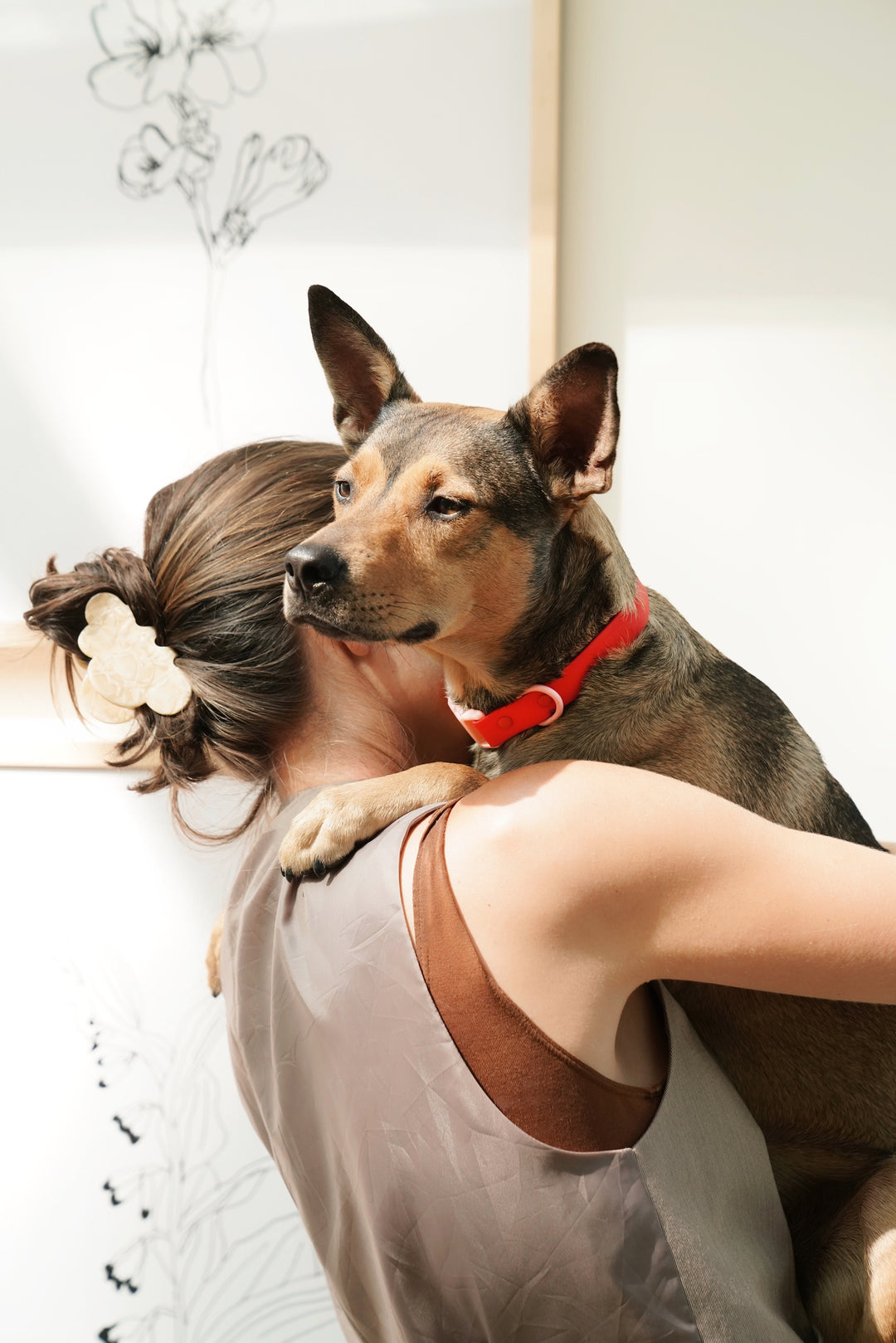 Why dogs love people and people love dogs.