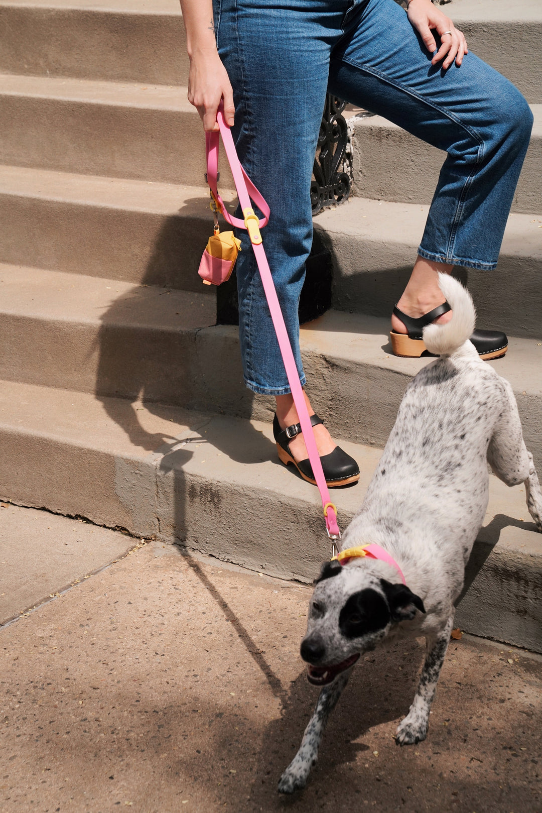 5 Ways to Enjoy Spring with Your Dog