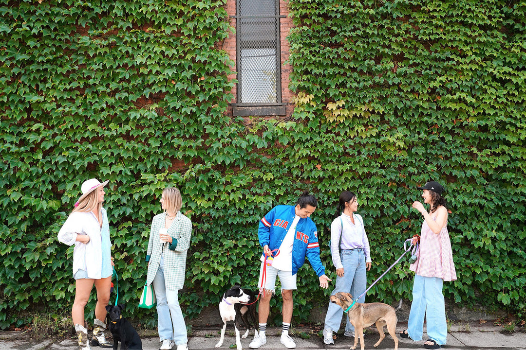 4 Conversation Starters for Dog Owners You May Recognize