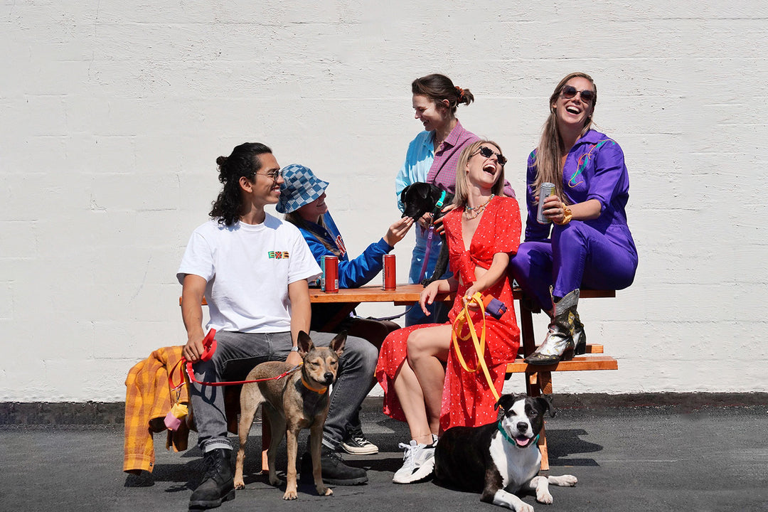 The Local Dog Friendly Bar Guide: 6 Dog Friendly Spots in Long Island City