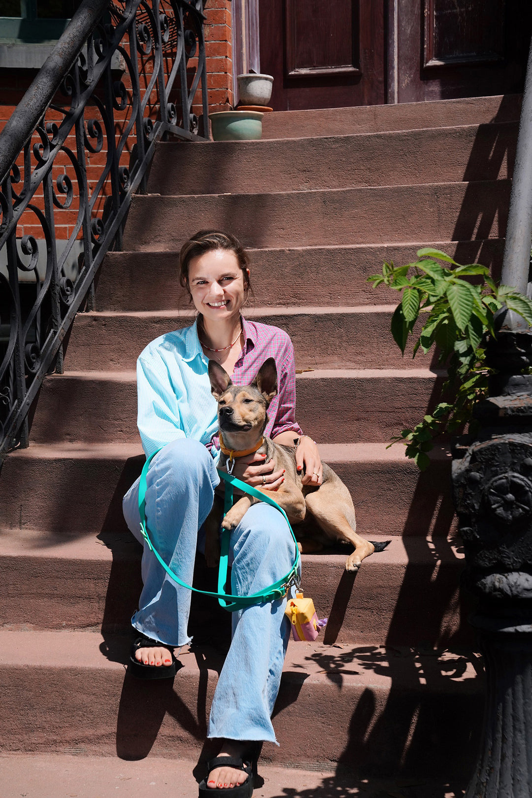 Lets Talk About Dog Series -  Living with my Dog in the City
