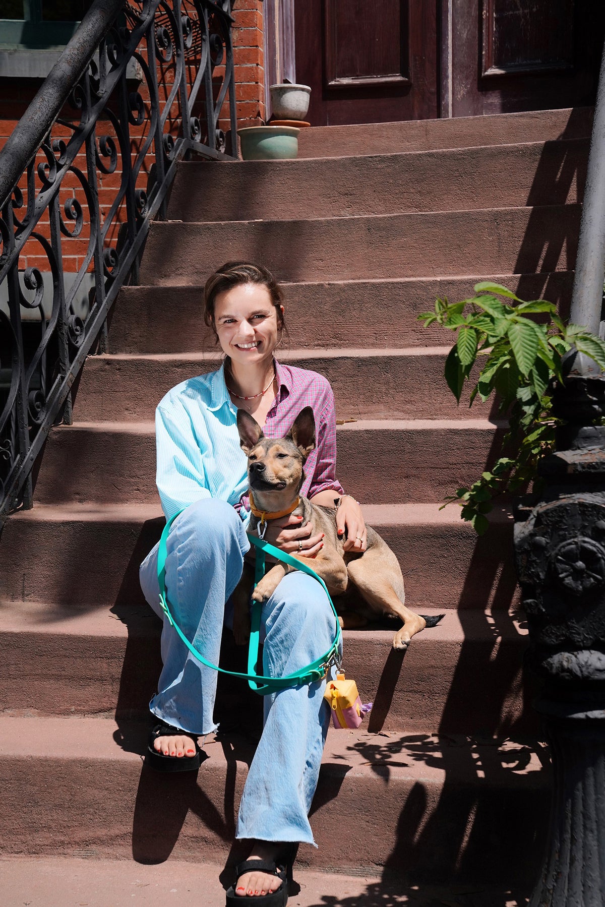 Lets Talk About Dog Series -  Living with my Dog in the City