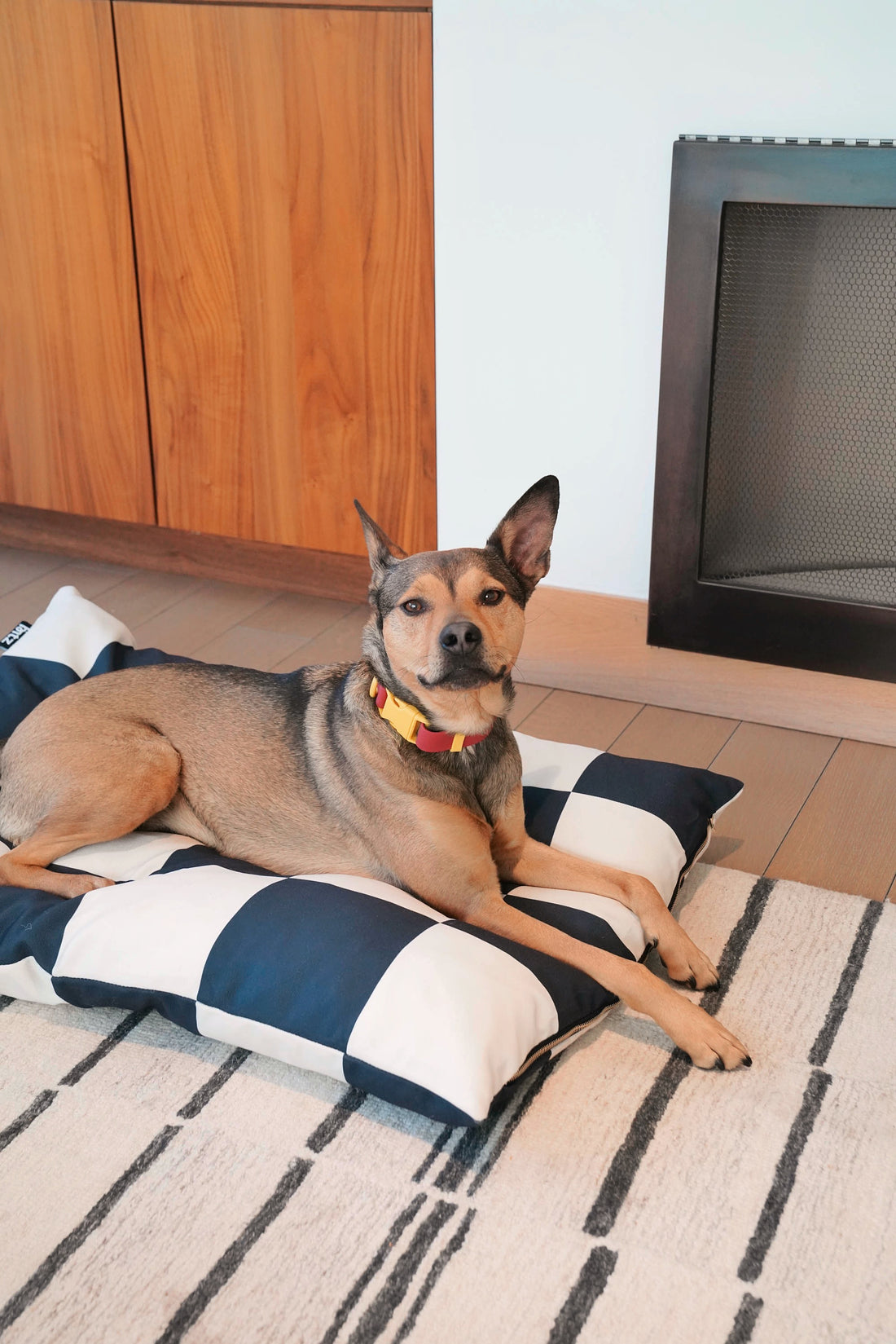 Choosing the Right Dog Bed Size for Your Dog