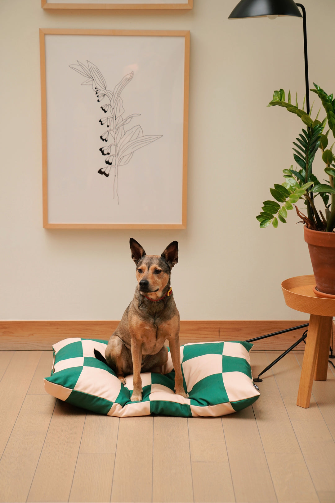 Giveaway time! - Win the fritz bed!