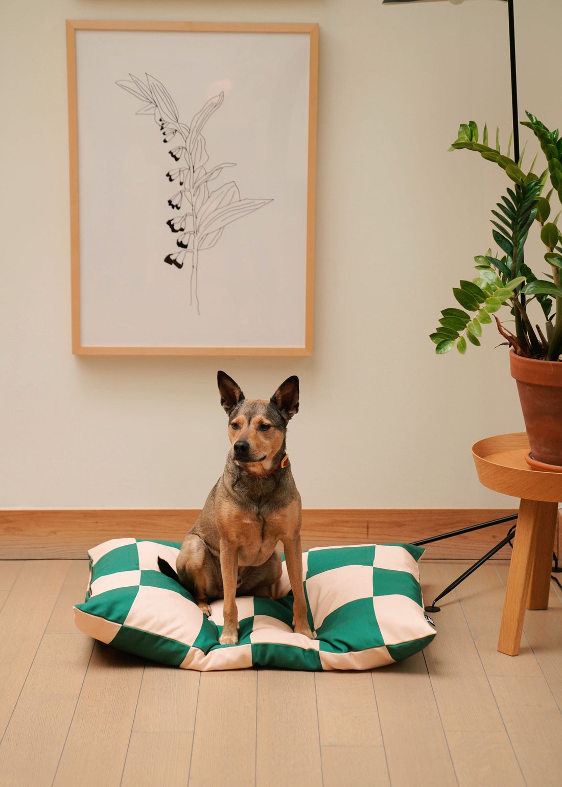 5 Reasons the Fritz Bed is a Sustainable Choice for Your Dog