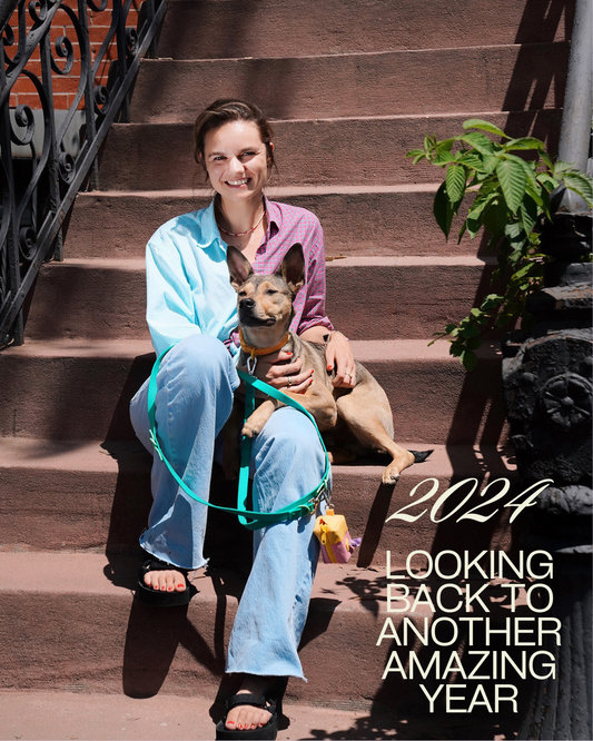 A Year in Review: 2024 Highlights from Approved by Fritz