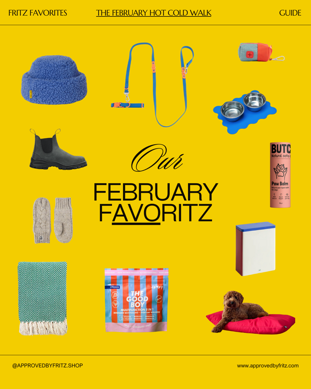 February Favoritz: A Gift Guide by Approved by Fritz