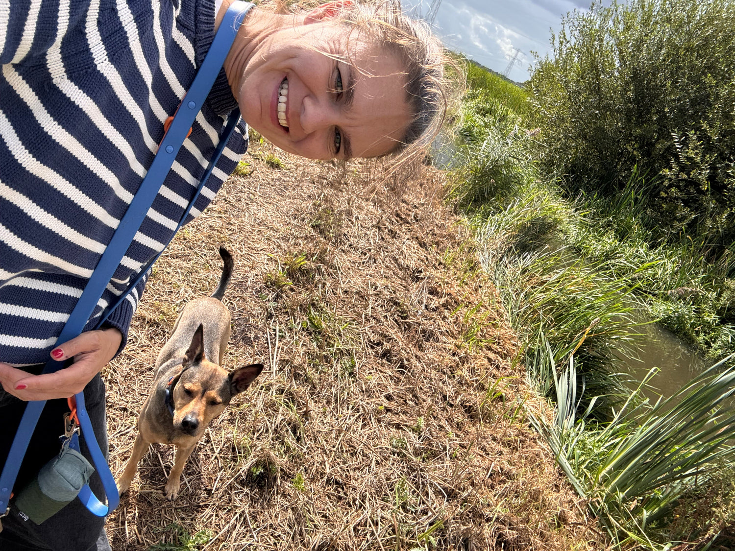 Why Are Dogs So Loyal? The Real Reason They’re Always Happy to See You(02)