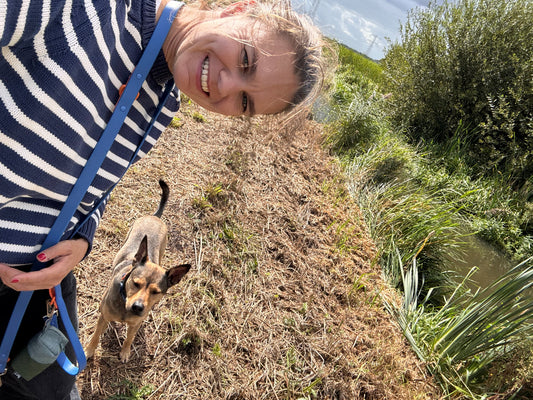 Why Are Dogs So Loyal? The Real Reason They’re Always Happy to See You
