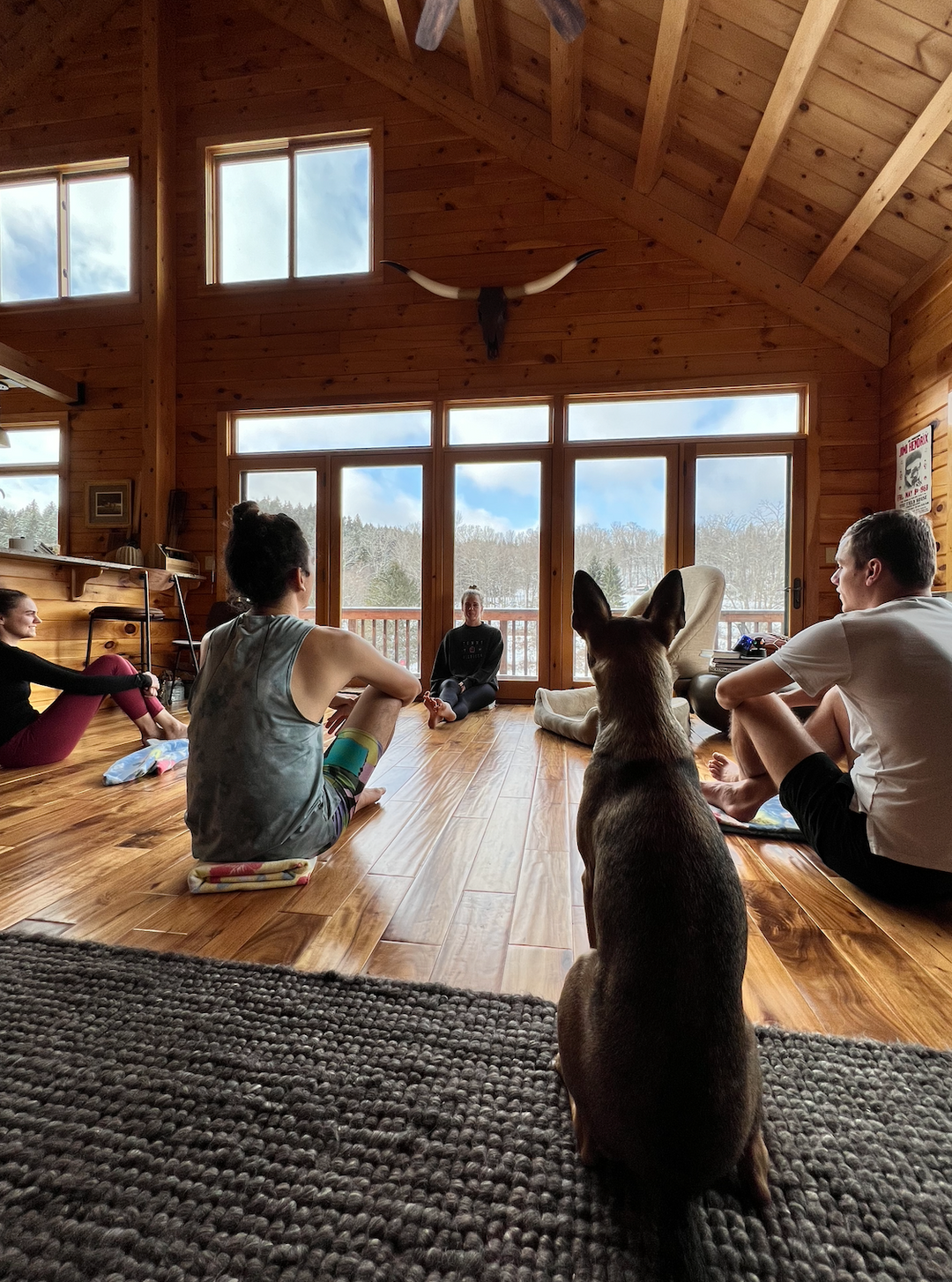 5 things do to in the city with your dog you didn't know.