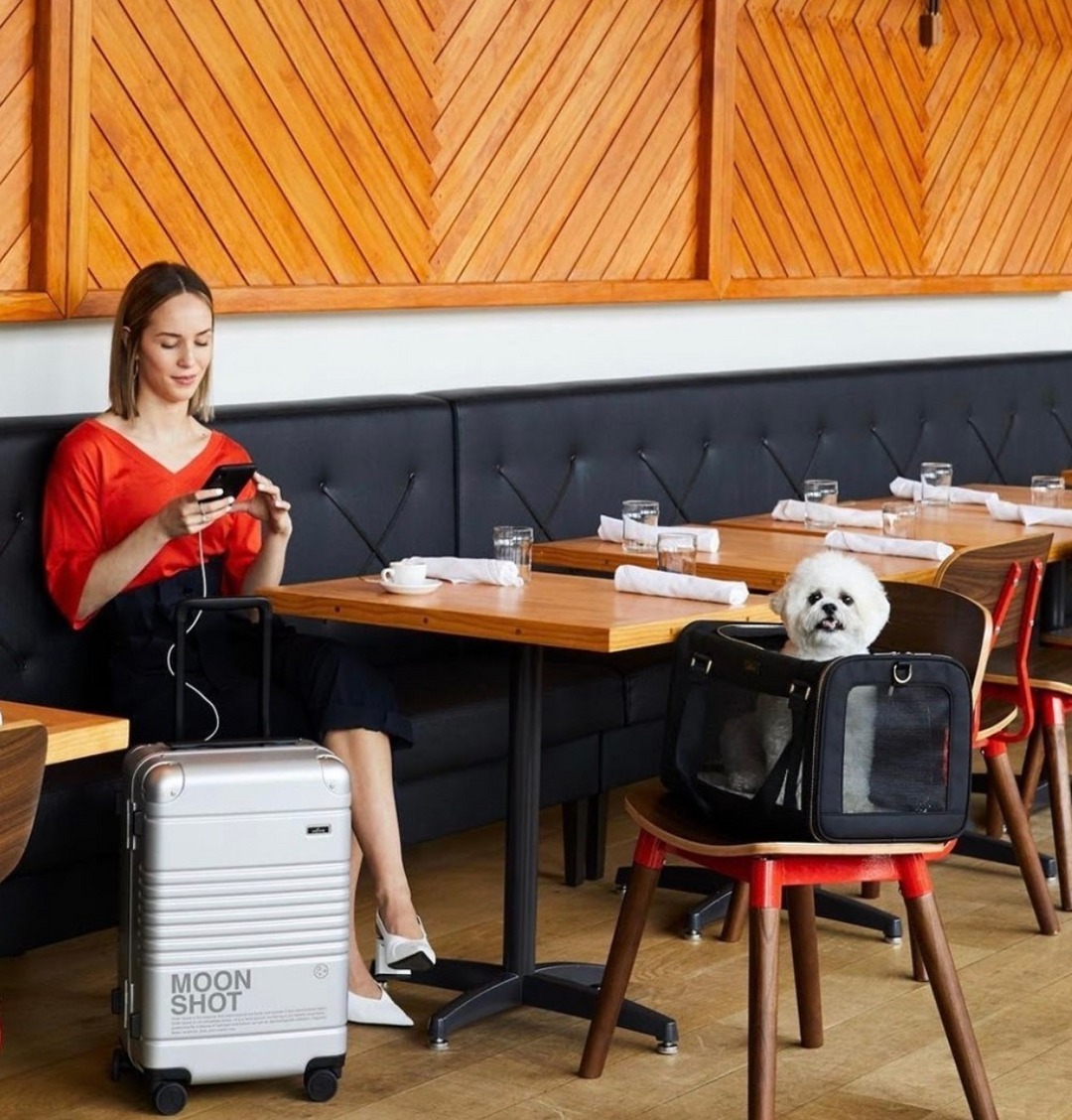 Dog Friendly Hotels in New York City