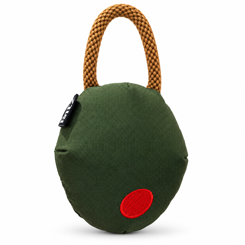 The Olive Dog Toy