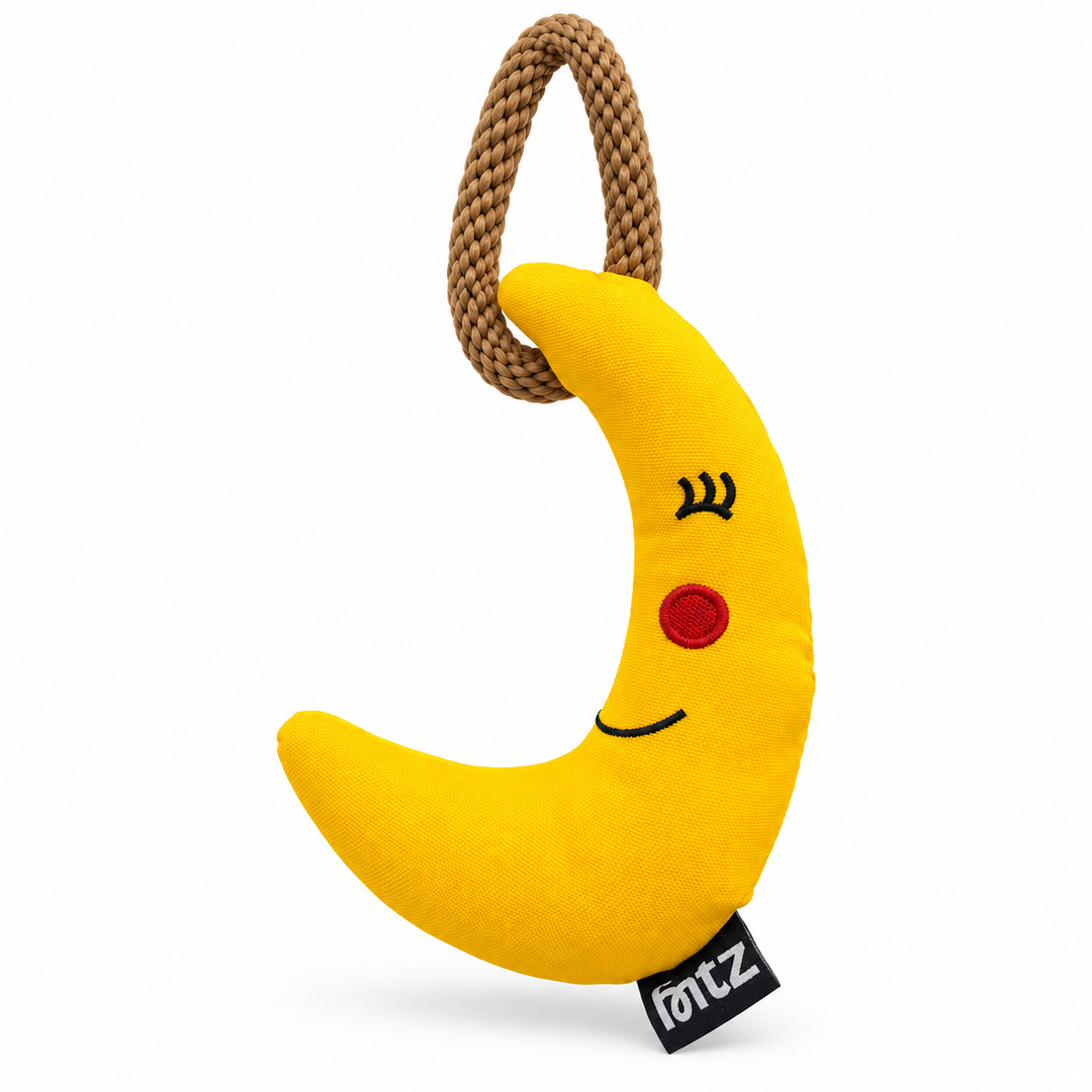 The Luna Dog Toy