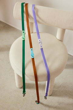 The Fritz Leash - Liberty Green