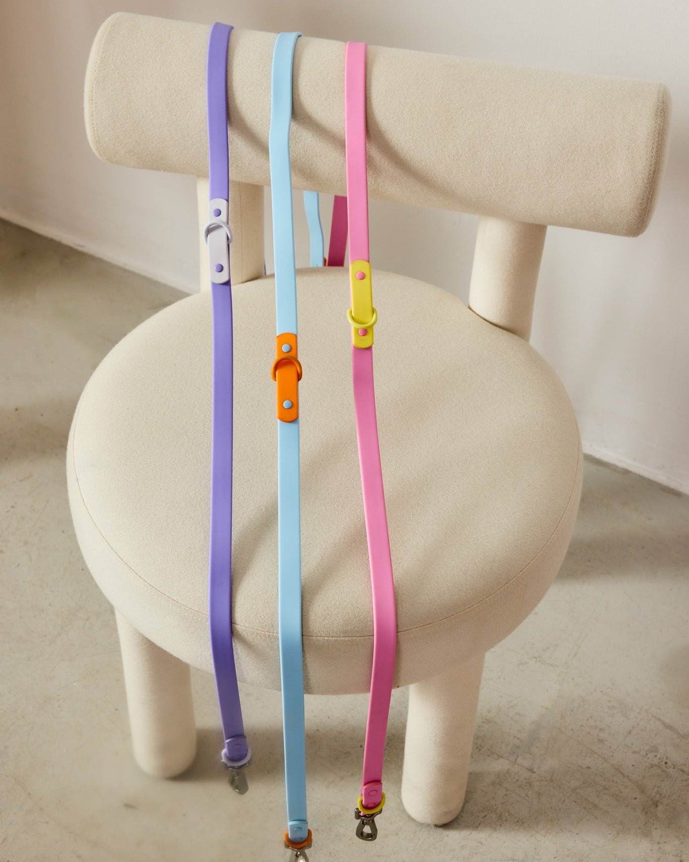 Colorful dog leashes on a white stool with a neutral background