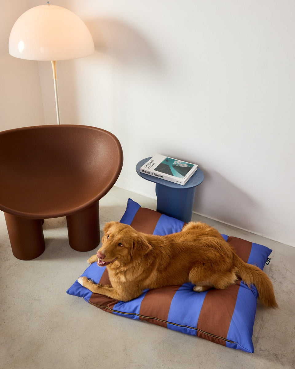A dog resting on the Striped Fritz Bed in a styled room