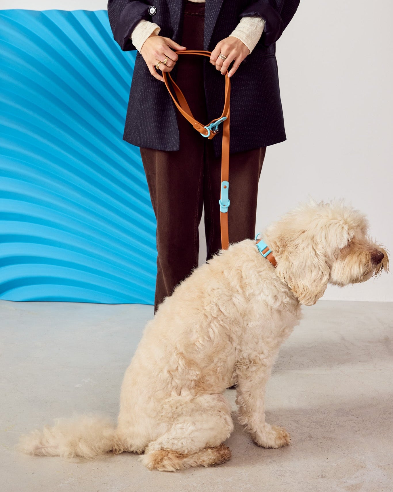 Person in a suit holding a dog leash with a dog sitting on a light-colored floor.