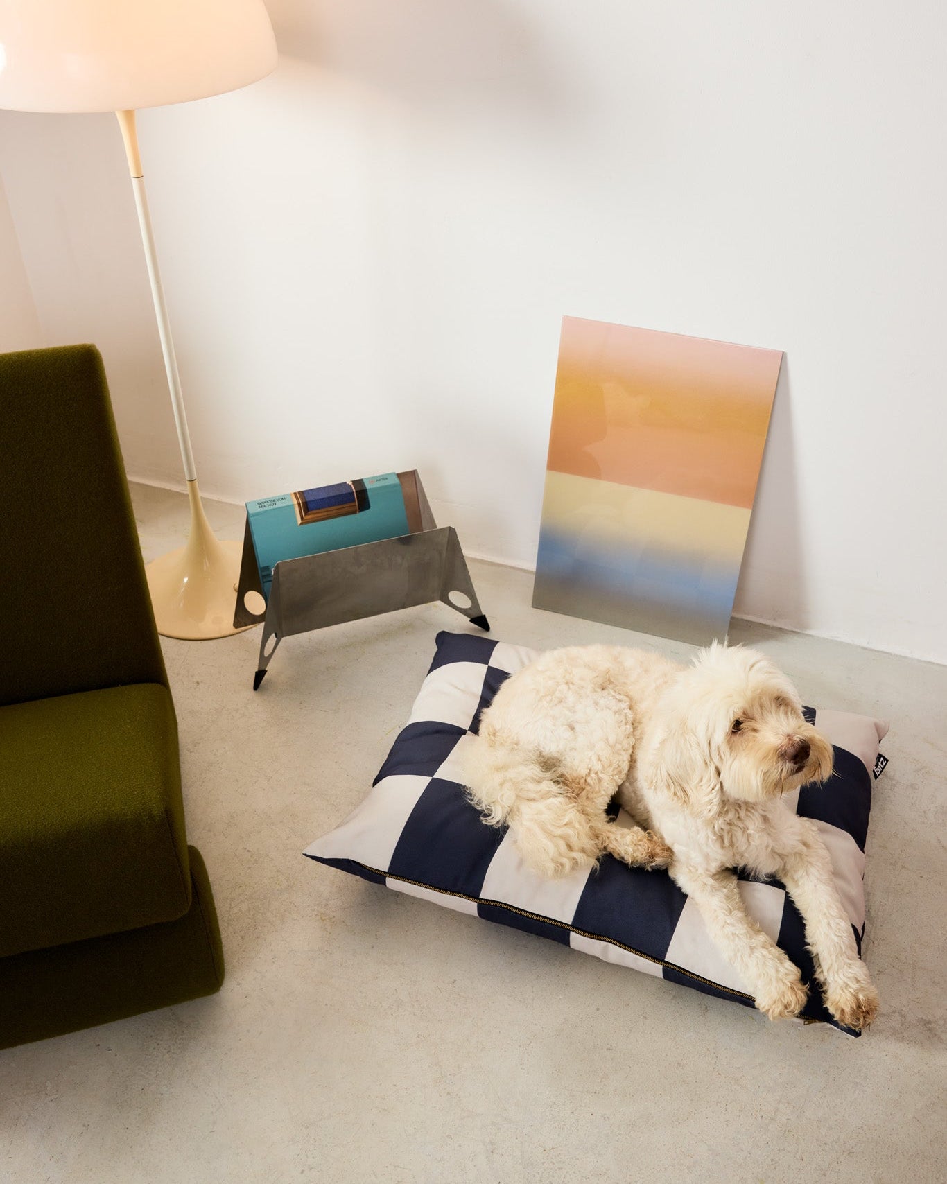 Dog lying on a checkered pillow in a modern living room.