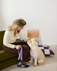 Woman sitting on a couch with a dog on a leash in a modern living room.