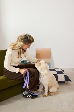Fritz Collar + Leash Walk Set