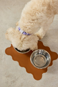 Dog drinking from a metal bowl on a brown pet mat with a textured surface.
