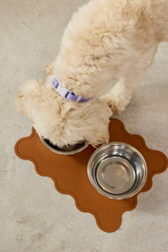Dog drinking from a metal bowl on a brown pet mat with a textured surface.