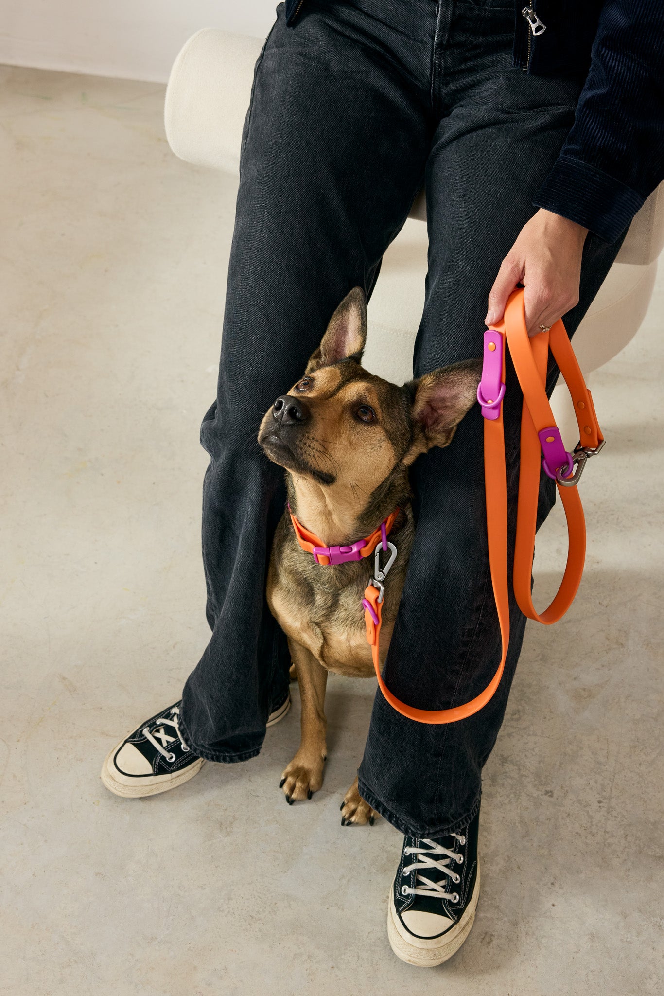 Ensemble pour promenade Fritz Walk – Laisse et collier imperméables et réglables pour chien
