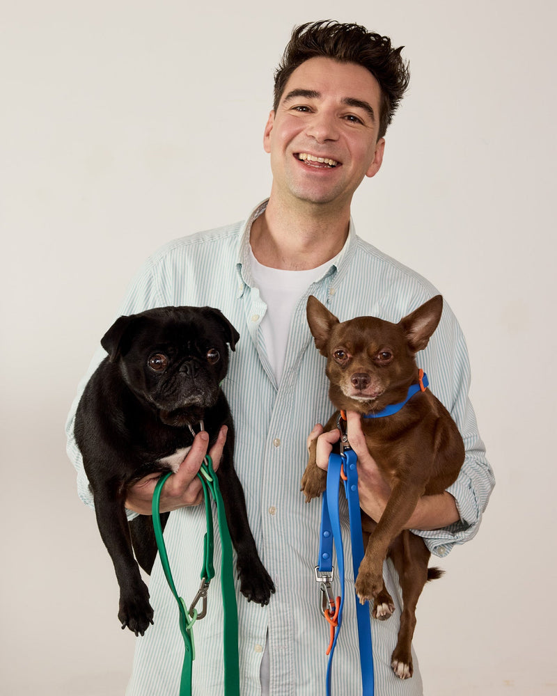 Man holding two dogs with leashes against a plain background