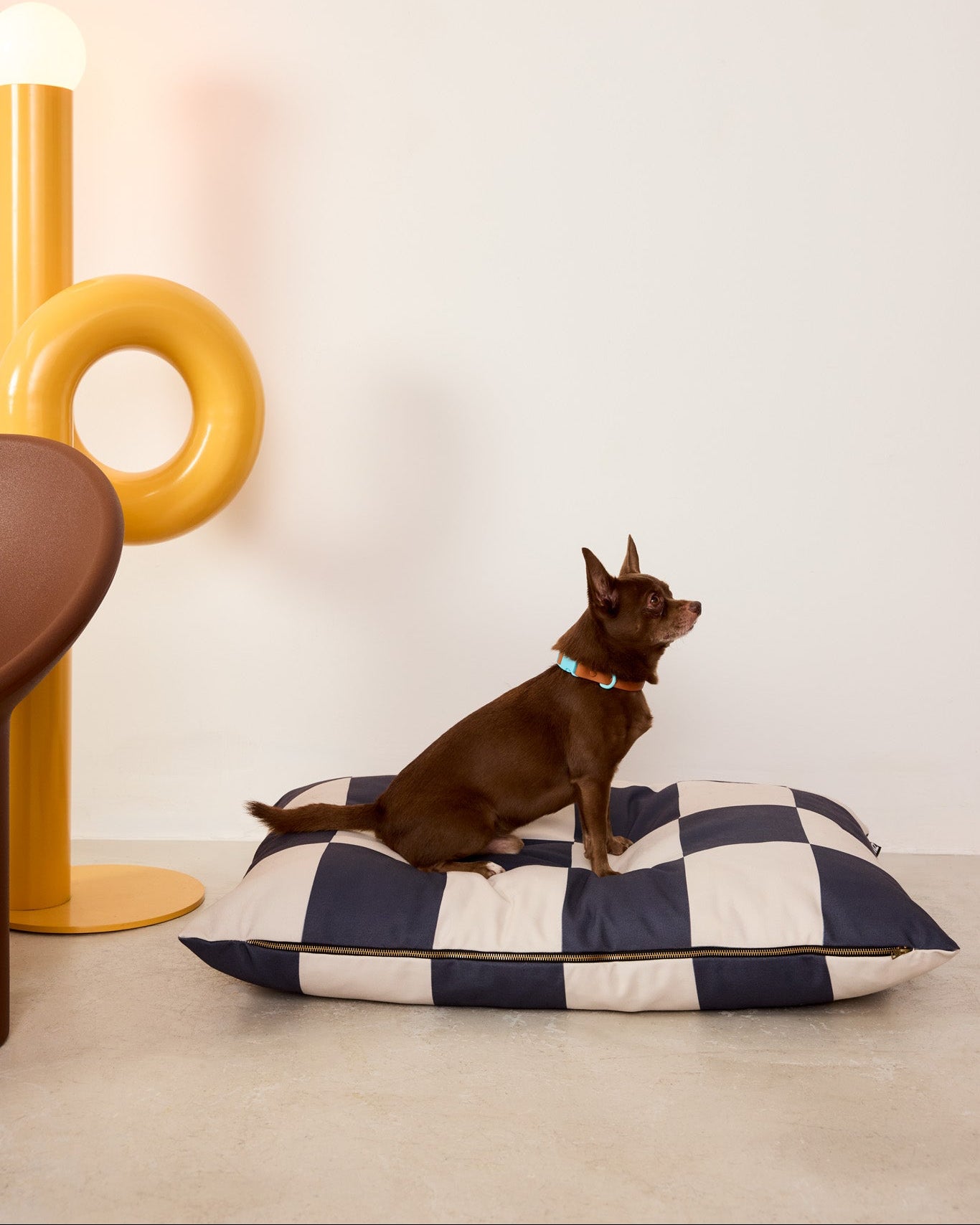 Small dog sitting on a checkered pet bed in a modern room with a yellow lamp.