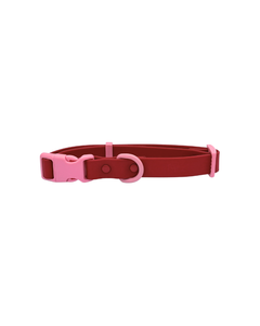 The Fritz Collar