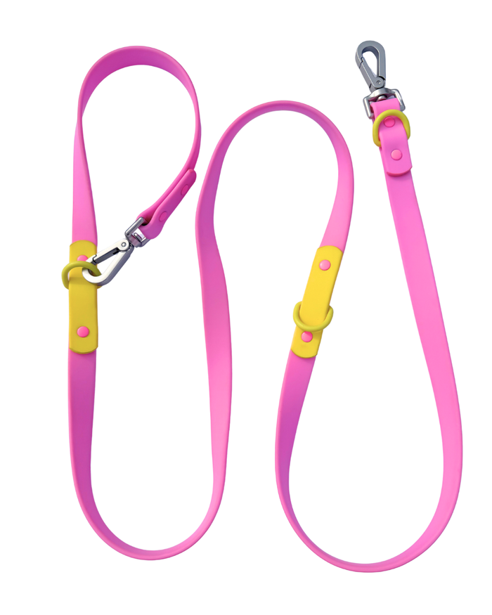 The Fritz Leash - Pink Lemonade