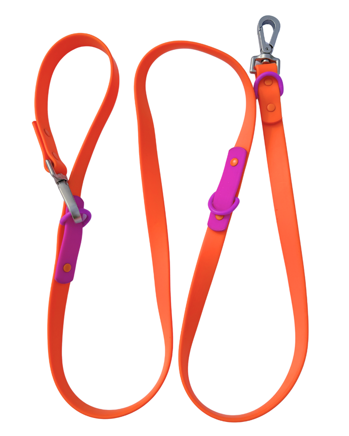 The Fritz Leash