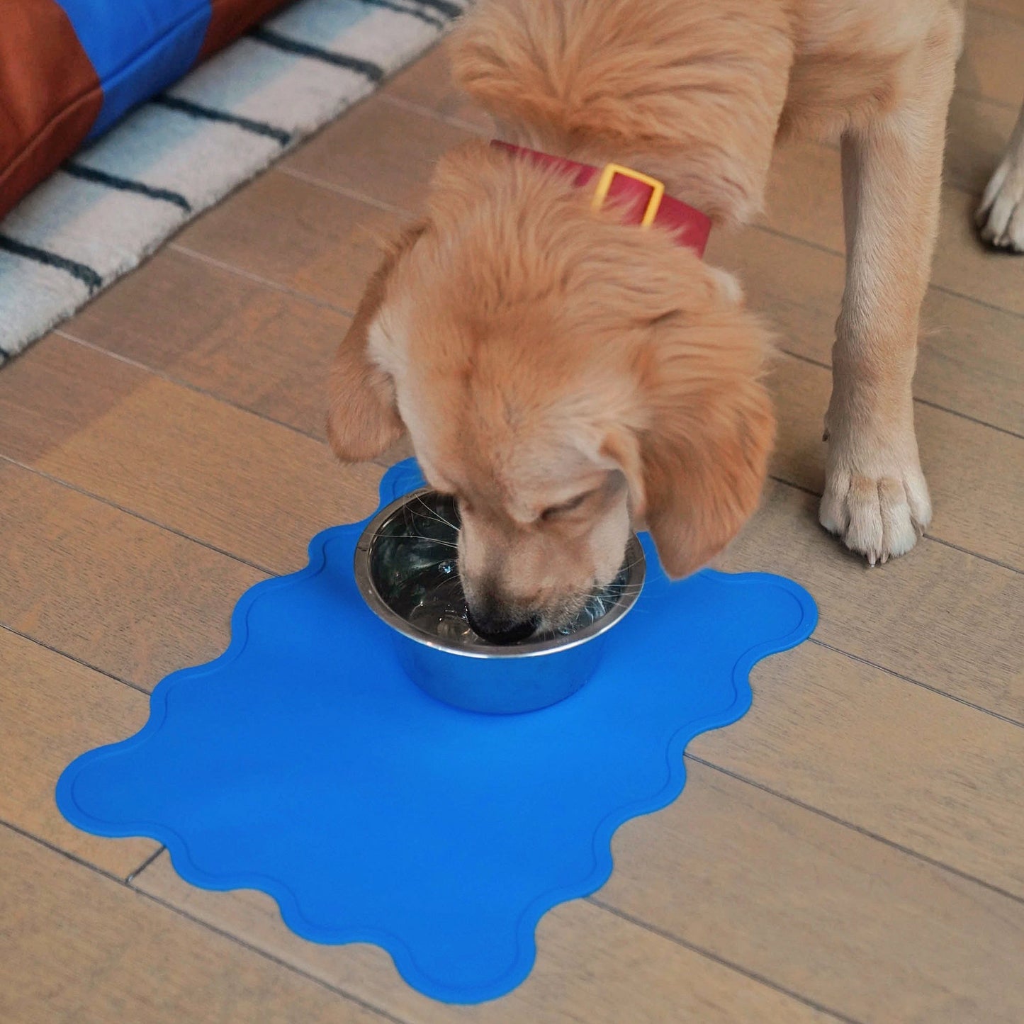 Toy & Bowl Mat Bundle