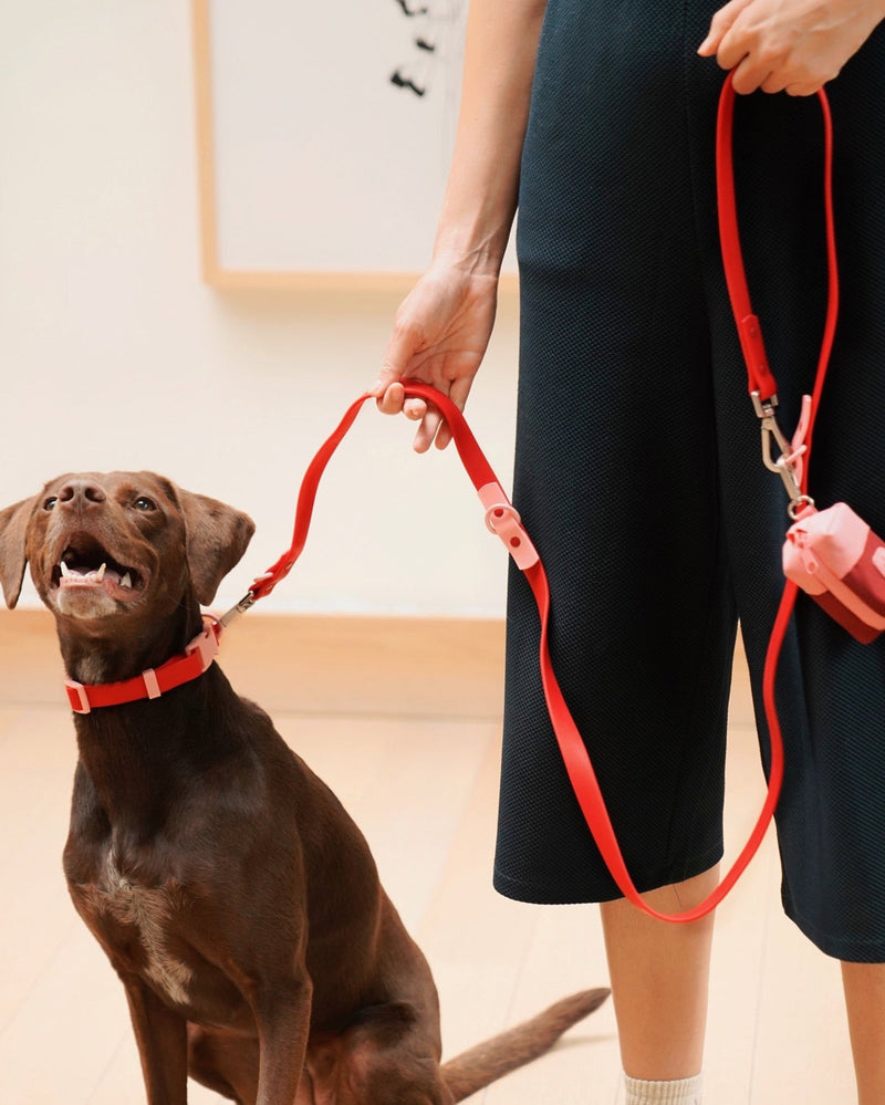 Das Fritz Halsband - Cherry